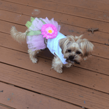 Flower Power Dog Dress