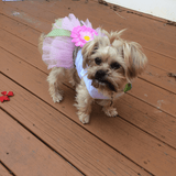 Flower Power Dog Dress