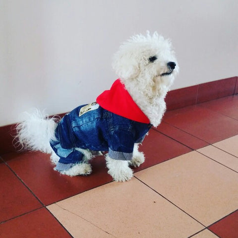 Denim Dog Coat With Hood - Dress Your Doggy