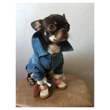 Denim Dog Jacket