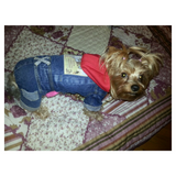 Denim Dog Coat With Hood