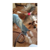 Denim Dog Jacket