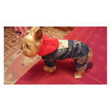 Denim Dog Coat With Hood