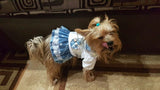 Blue Breeze Frilly Dog Dress