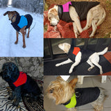 Breathable Waterproof Dog Jacket