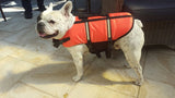 DYD Dog Life Jacket