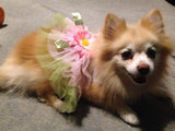 Flower Power Dog Dress