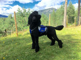 Comfort Dog BackPack Harness