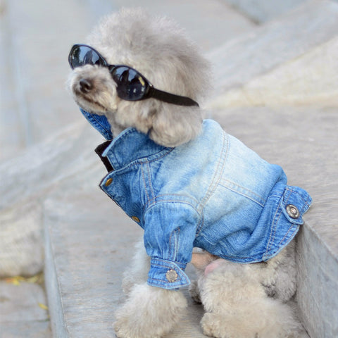 Denim Dog Jacket