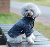 Denim Dog Jacket