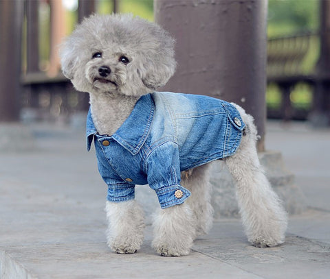 Denim Dog Jacket