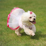 Cherry Tutu Dog Dress