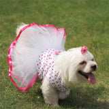 Cherry Tutu Dog Dress