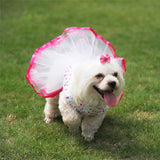 Cherry Tutu Dog Dress