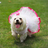 Cherry Tutu Dog Dress