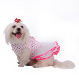 Cherry Tutu Dog Dress