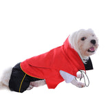 Dracula Dog Costume