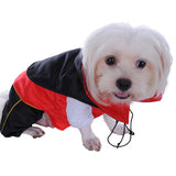 Dracula Dog Costume