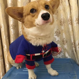 Captain American Dog Costume