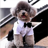 Bow Tie Evening Dog Suit