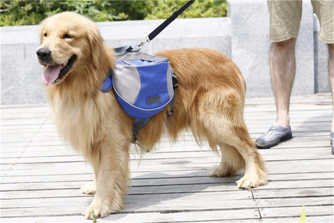 Comfort Dog BackPack Harness