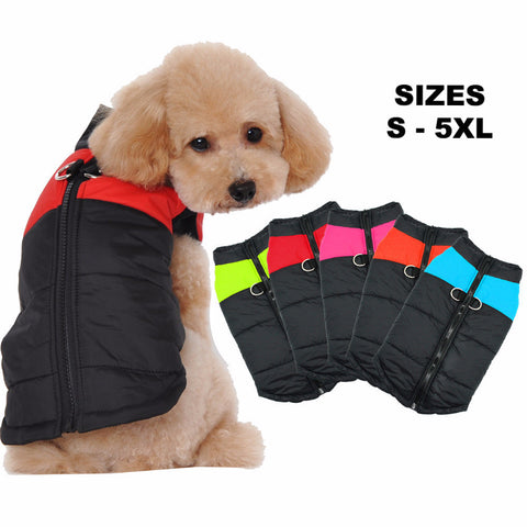 Breathable Waterproof Dog Jacket